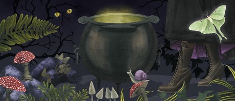 Hallowed Forest Collection D