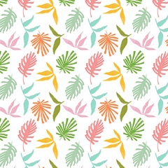 Rollin' Dino Collection F