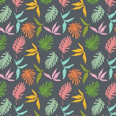 Rollin' Dino Collection G