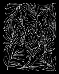 Black & White Cuttings I