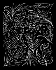 Black & White Cuttings II