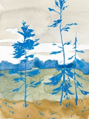 Cerulean Spruce II
