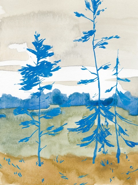 Cerulean Spruce II