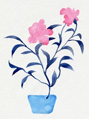 Hot Pink Hibiscus II