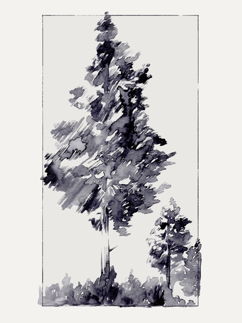 Inky Evergreen I