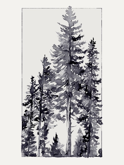 Inky Evergreen II