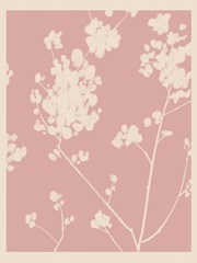 Pink Wildflower Silhouette I