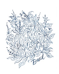 Summer Herb Garden Sketches I