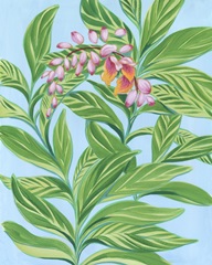 Tropical Shell Ginger I