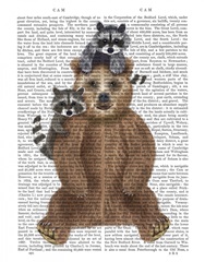 Bear and Raccoon Friends