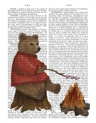 Bear Roasting Marshmallows