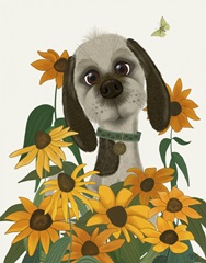 Bebe, Rudbeckia Garden