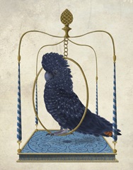 Black Cockatoo on Swing