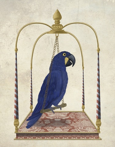 Blue Parrot on Swing