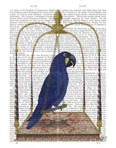 Blue Parrot on Swing