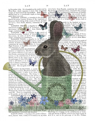 Bunny Watering Can and Butterflies