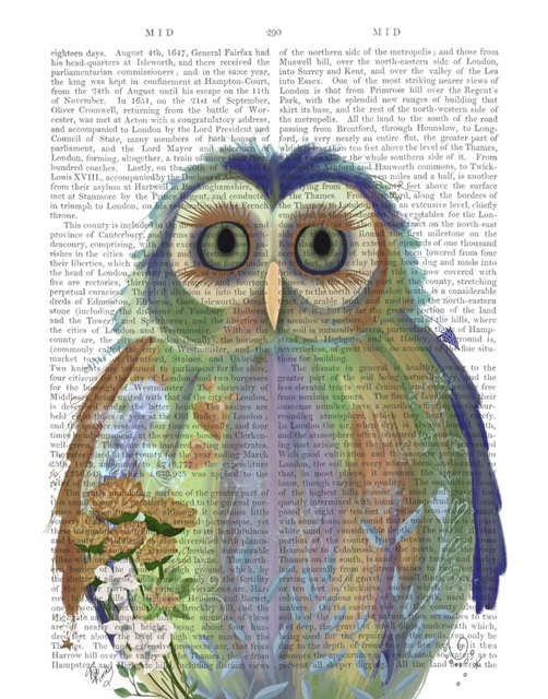 Fantastic Florals Owl , Book Print