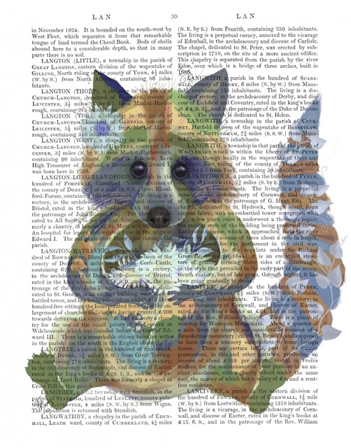 Fantastic Florals Raccoon , Book Print