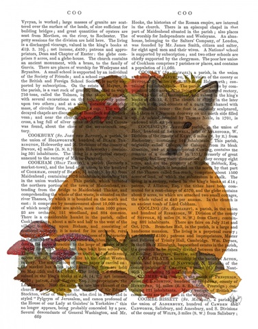 Fox Curled on Pumpkin