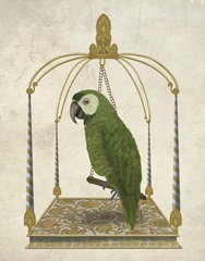 Green Parrot on Swing