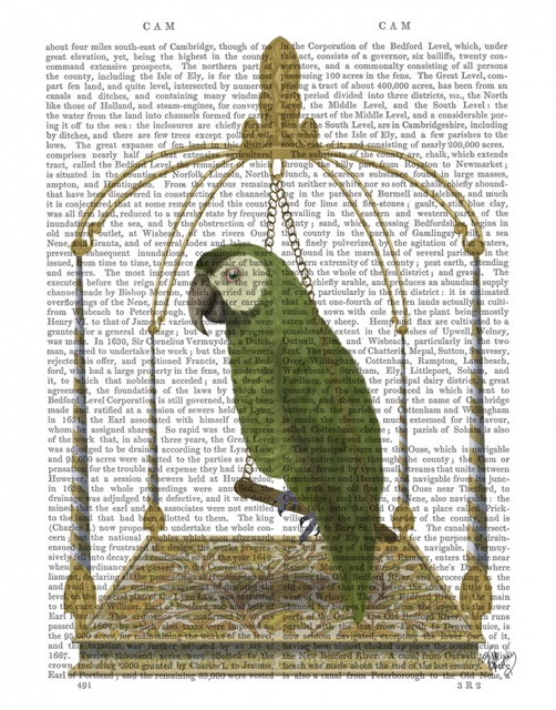 Green Parrot on Swing