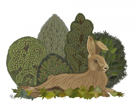 Hare Reclining in Leaves