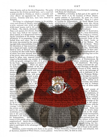 Hot Chocolate Raccoon