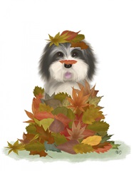 Landed in Autumn, Black and White Dog