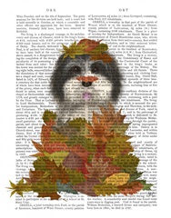 Landed in Autumn, Black and White Dog