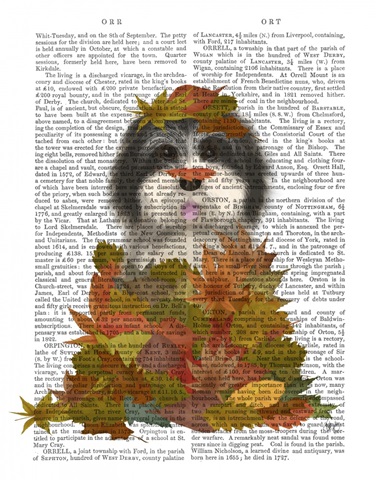 Landed in Autumn, Black and White Dog