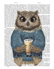 Latte Owl in Sweater