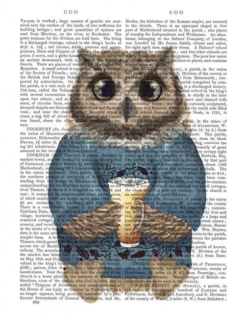 Latte Owl in Sweater