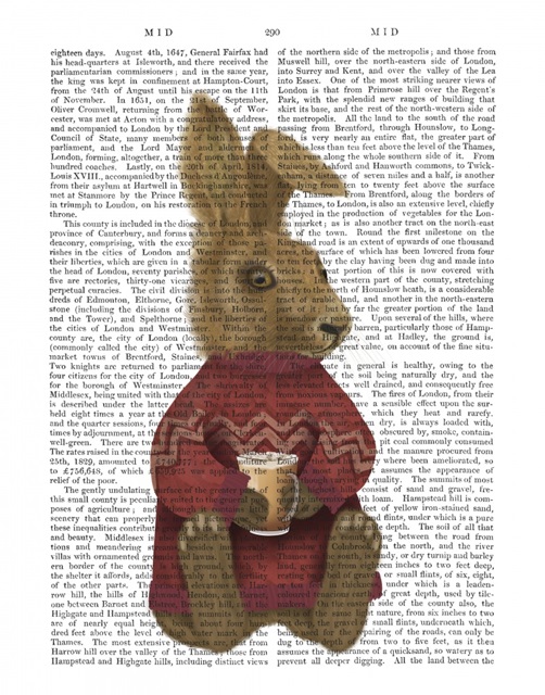 Latte Rabbit in Sweater