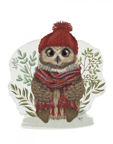 Owl in Tartan Scarf