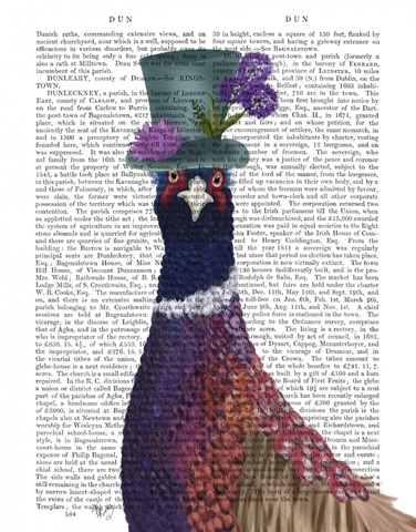 Pheasant in Blue Hat