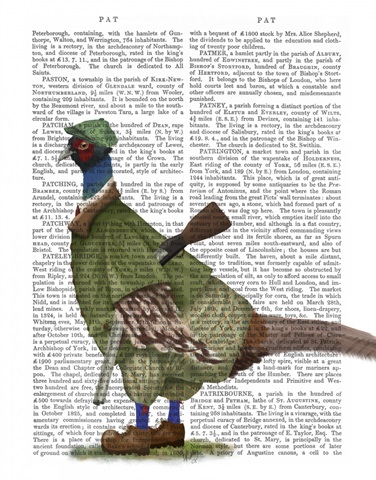 Pheasant Shooting Party 1