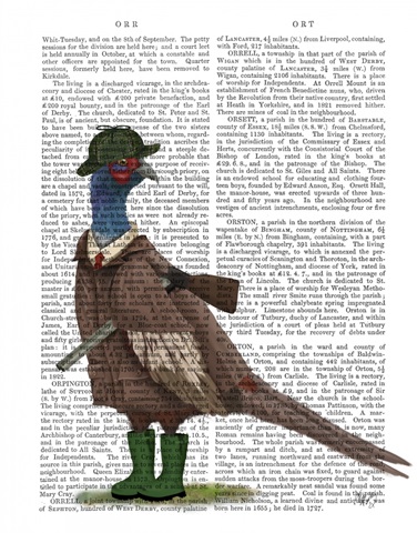 Pheasant Shooting Party 5