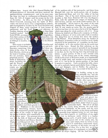 Pheasant Shooting Party 6