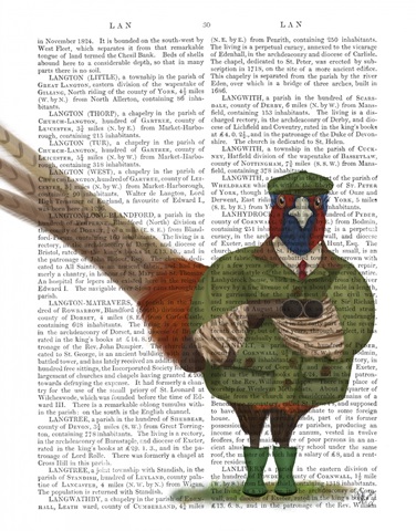 Pheasant Shooting Party 7