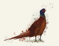 Pheasant Splash 4