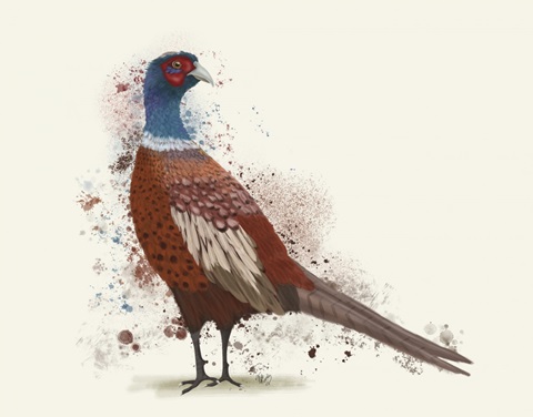 Pheasant Splash 5
