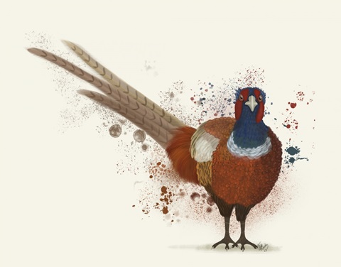 Pheasant Splash 7