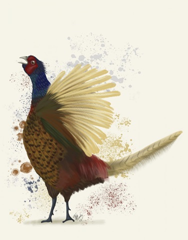 Pheasant Splash 8