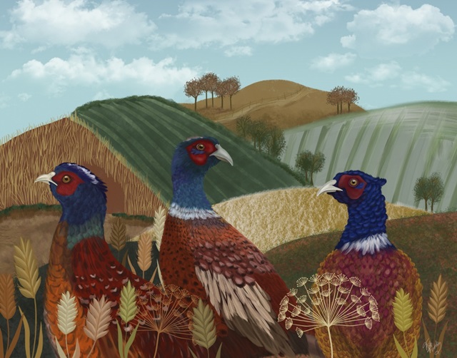 Pheasant Trio in Field