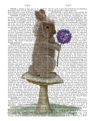 Rabbit and Agapanthus