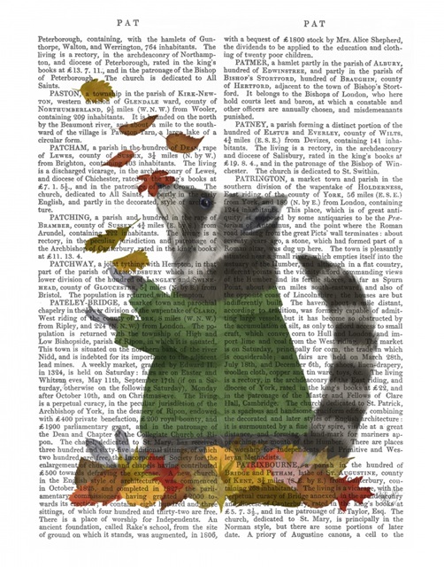 Raccoon Catching Leaves