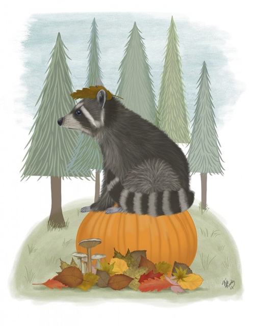 Raccoon On Pumpkin