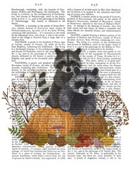 Raccoons On Pumpkins Under Tree
