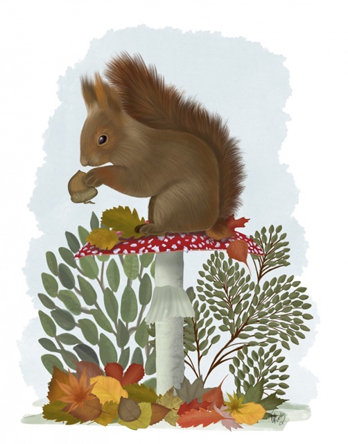 Red Squirrel On Mushroom