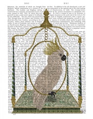 White Cockatoo on Swing